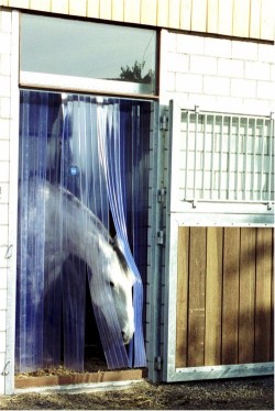 Perdea pvc grajduri,hambare